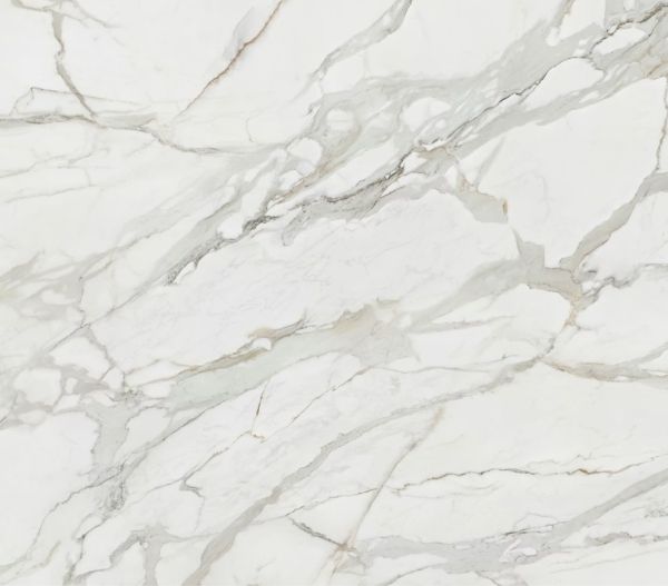 דקטון מורפיוס morpheus